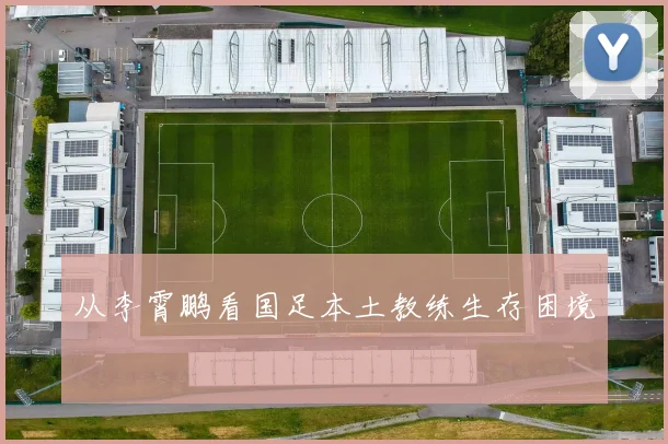 从李霄鹏看国足本土教练生存困境