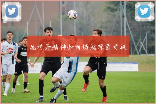 鹿特丹精神如何铸就绿茵奇迹
