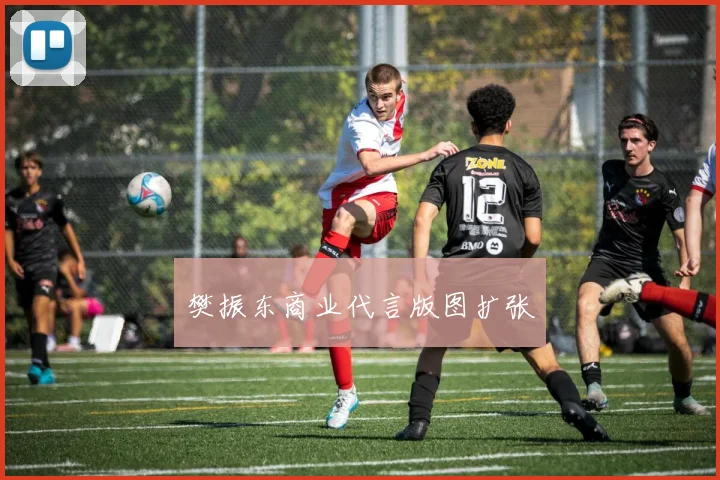 樊振东商业代言版图扩张