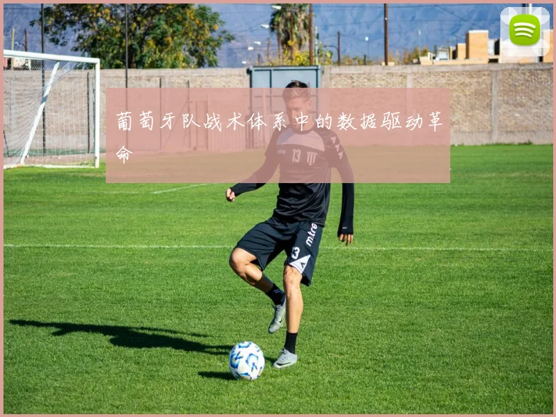 葡萄牙队战术体系中的数据驱动革命