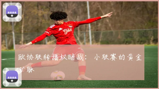 欧协联转播权暗战：小联赛的黄金矿脉