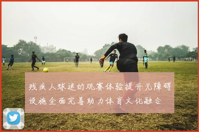 残疾人球迷的观赛体验提升无障碍设施全面完善助力体育文化融合